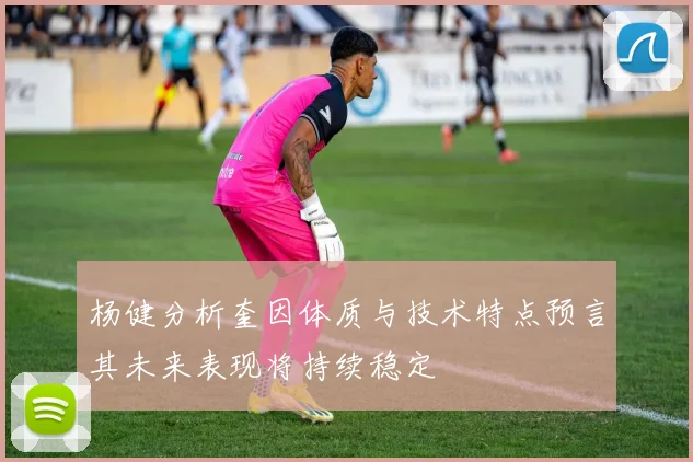 杨健分析奎因体质与技术特点预言其未来表现将持续稳定