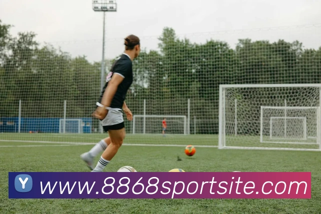 多媒体互动体验